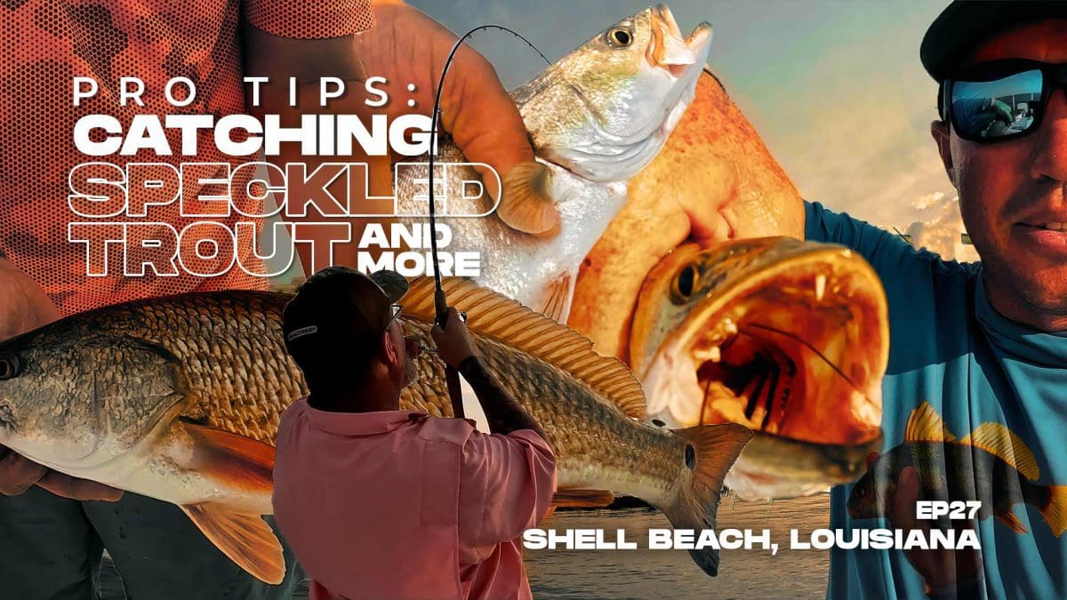 Saltwater Fishing Catching Spring Speckled Trout