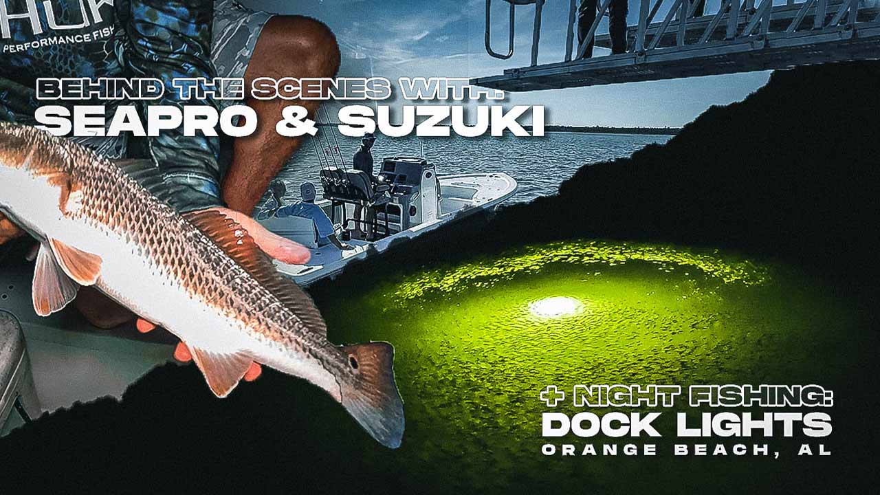 câu cá đêm mùa hè ở bến tàu alabama đèn và seapro suzuki chụp ảnh sm
