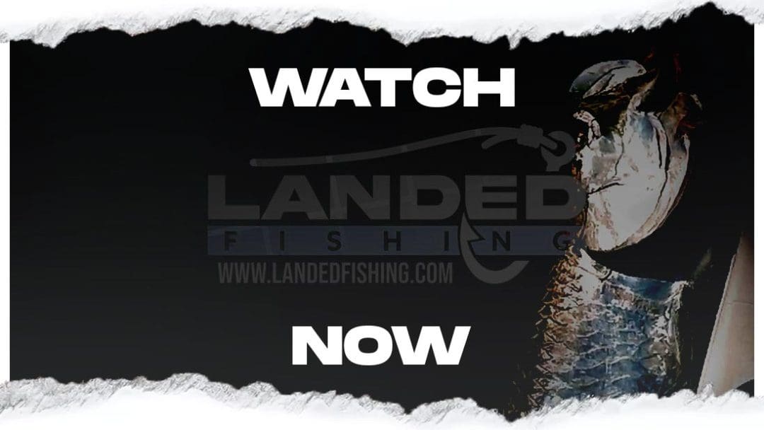 Watch Landed Fishing Show