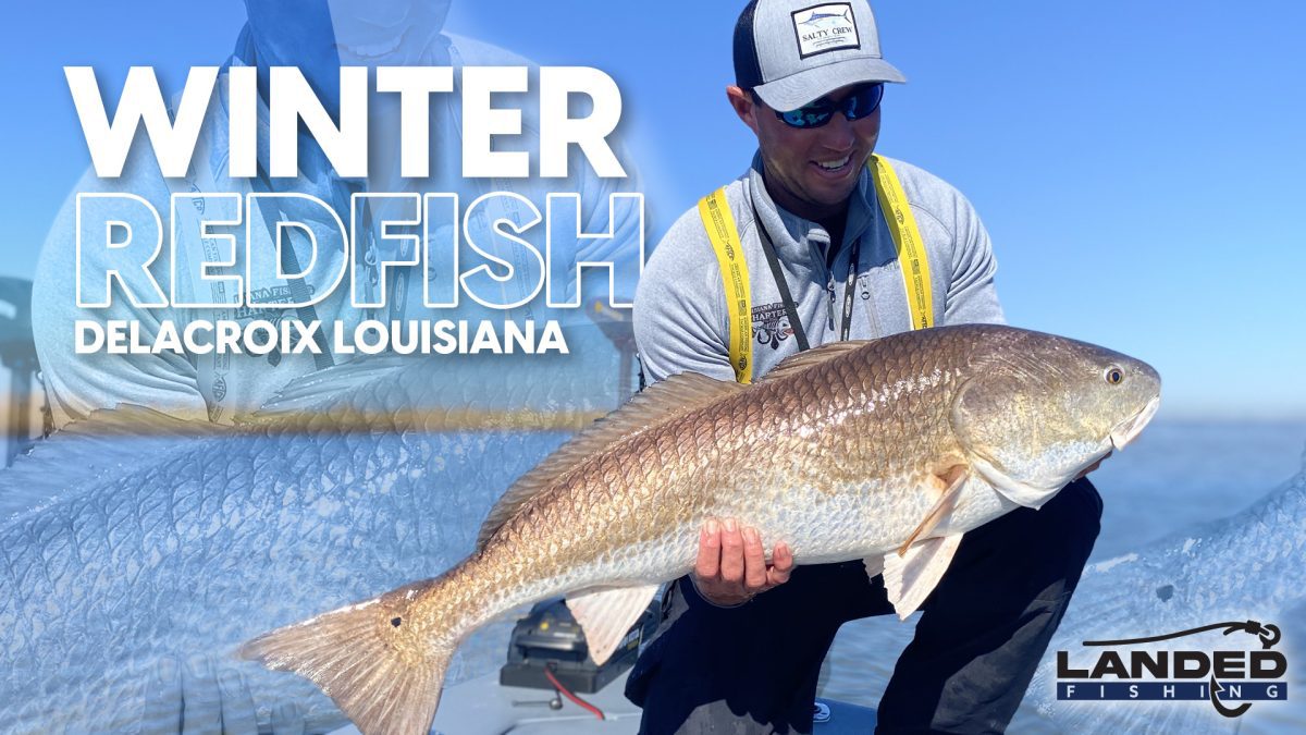 catching winter redfish in the Gulf