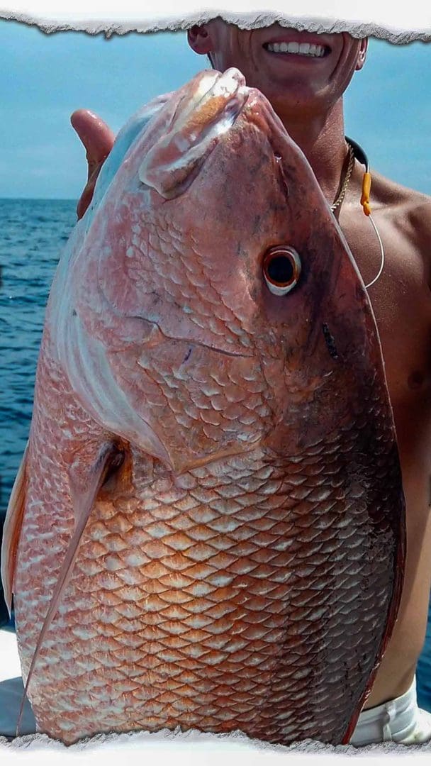 Saltwater Fishing Tips: Catching Red Snapper