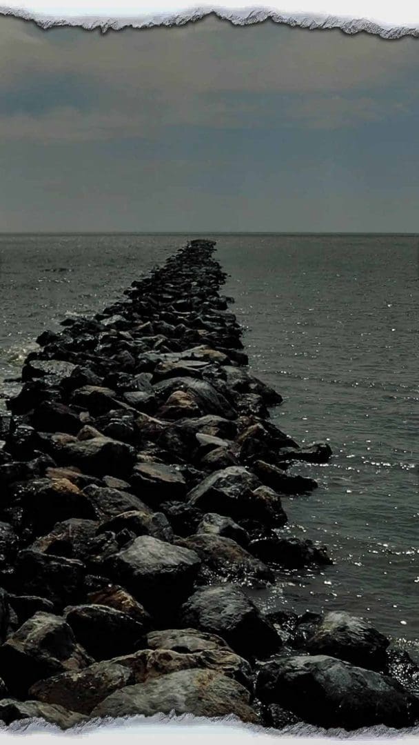 Saltwater Fishing Tips: Structure and Habitat