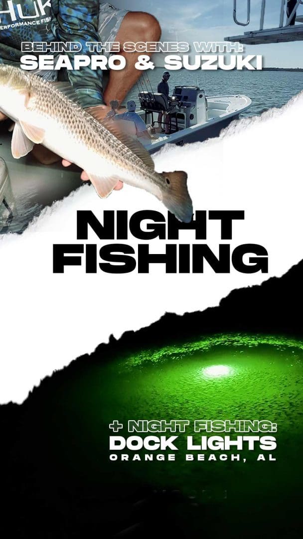 Alabama Night Fishing Orange Beach | Landed Fishing