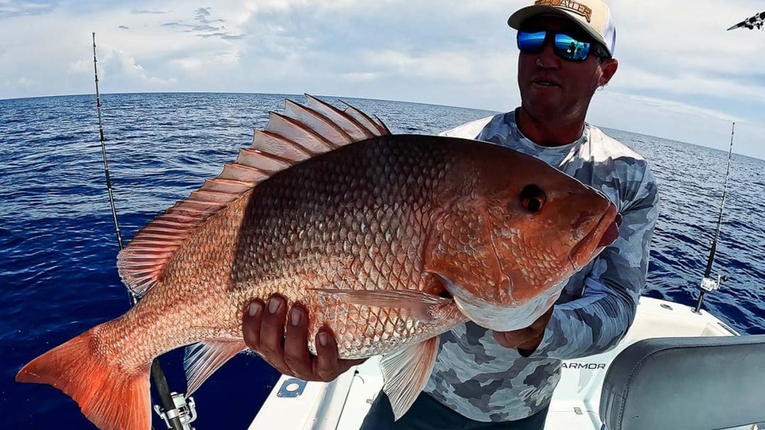 Kapitän Randall hält Fischgrundfischen im Golf von Mexiko auf American Red Snapper