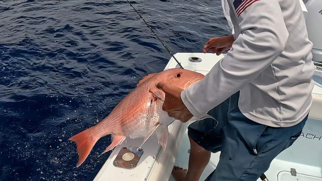 Pargo rojo de pesca de fondo en el Golfo de México