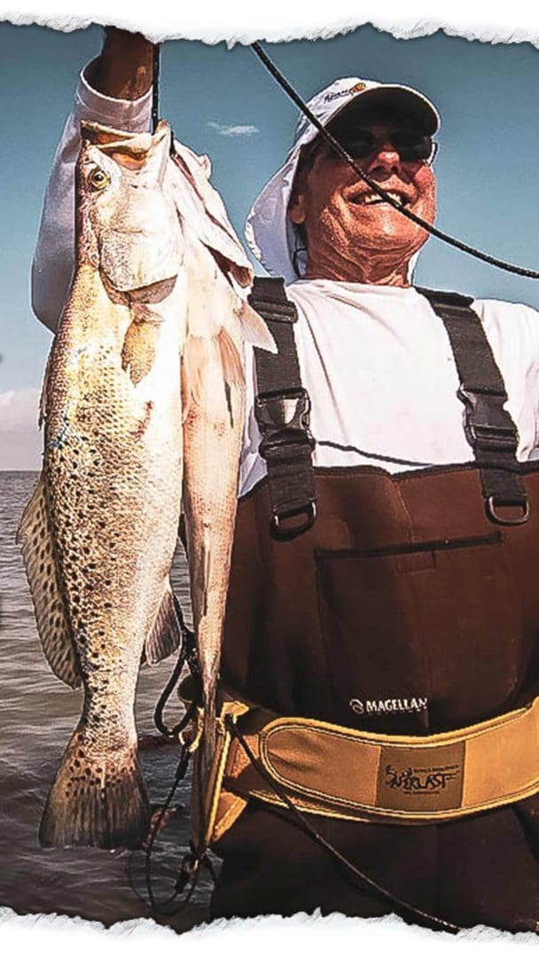 Spotted Sea Trout Fishing Saltwater Fish Gulf of Mexico