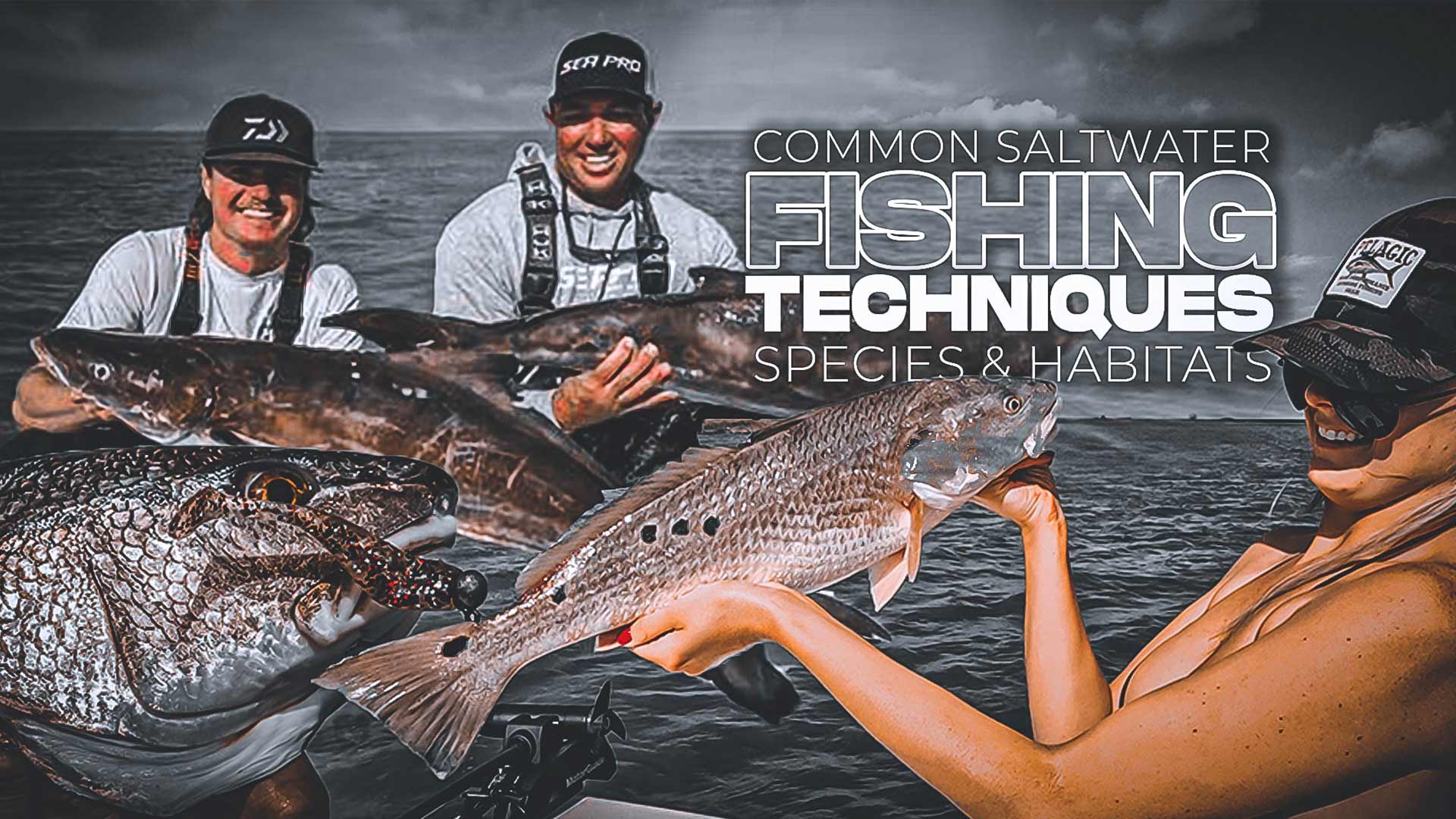 common saltwater fishing techniques species and habitats gulf of