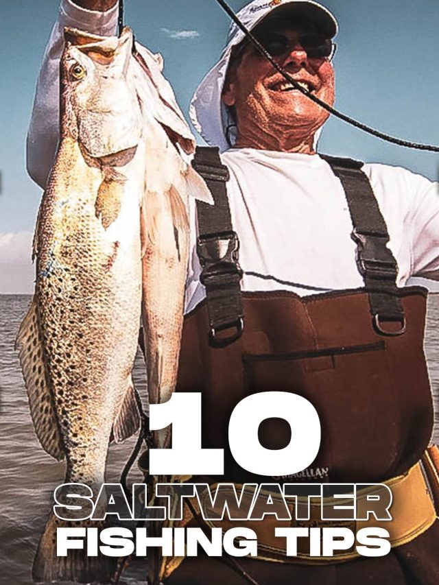 10 Saltwater Fishing Tips for Saltwater Fish
