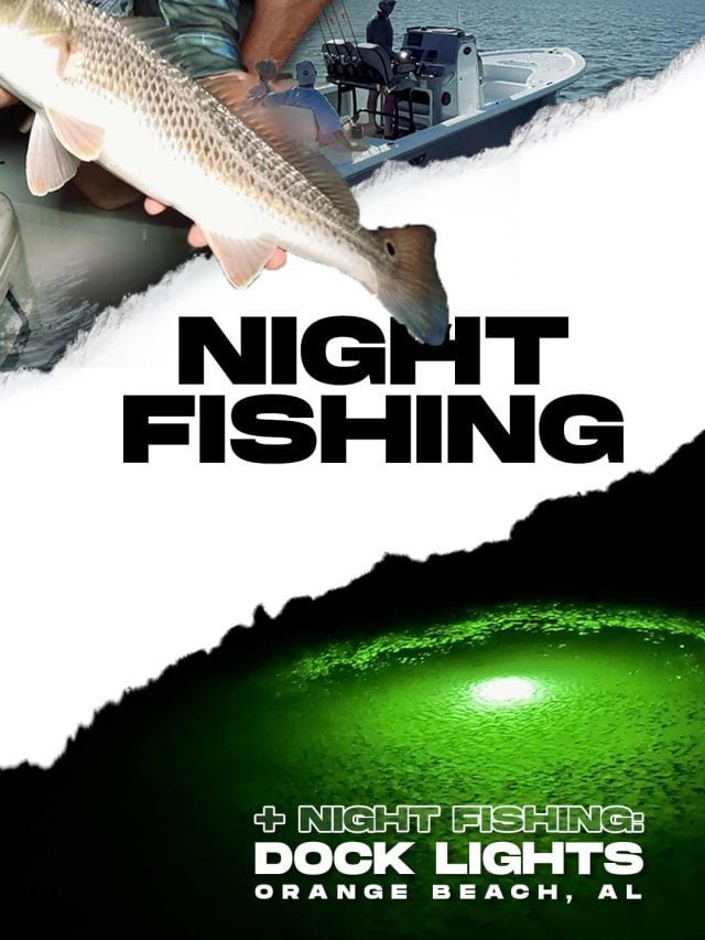 Fishing Dock Lights à noite: cantarilho, pargo, truta e muito mais | Dicas e técnicas de pesca para pescar à noite