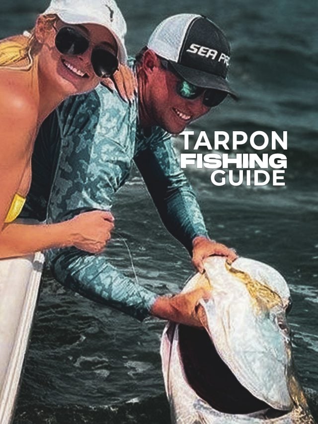 Pêche au Tarpon dans le Golfe | Guides et conseils de pêche