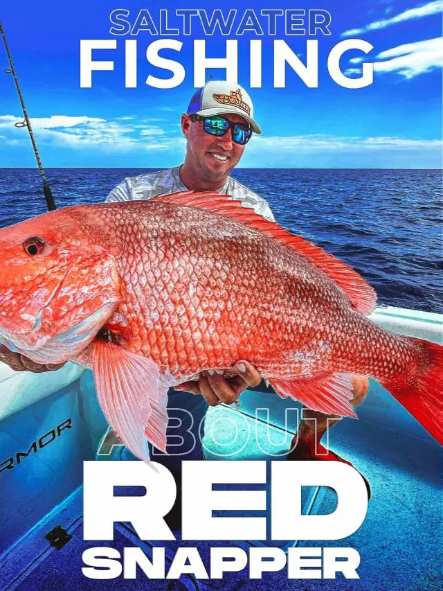 Saltwater Fishing: About Red Snapper | Common Traits and Behavior of the Mighty American Red Snapper