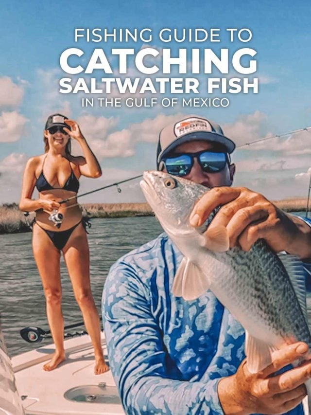 Guía de pesca para la captura de peces de agua salada en el Golfo de México