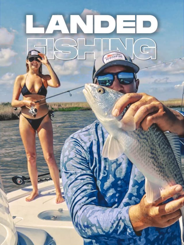 Landed Fishing Episodes