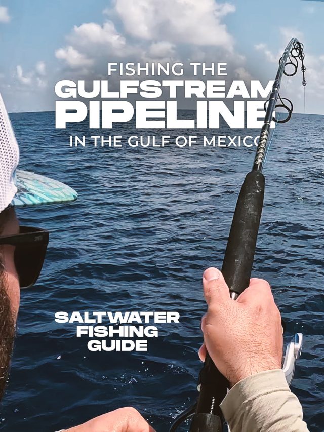 Fischerei an der Gulfstream-Pipeline im Golf von Mexiko