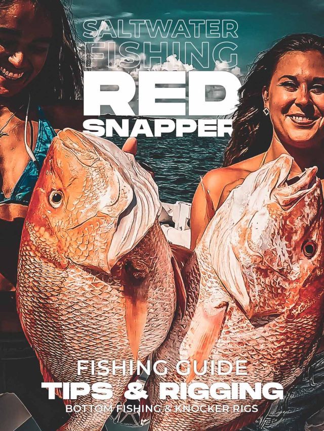 Bottom Fishing para sa Red Snapper sa Gulpo ng Mexico