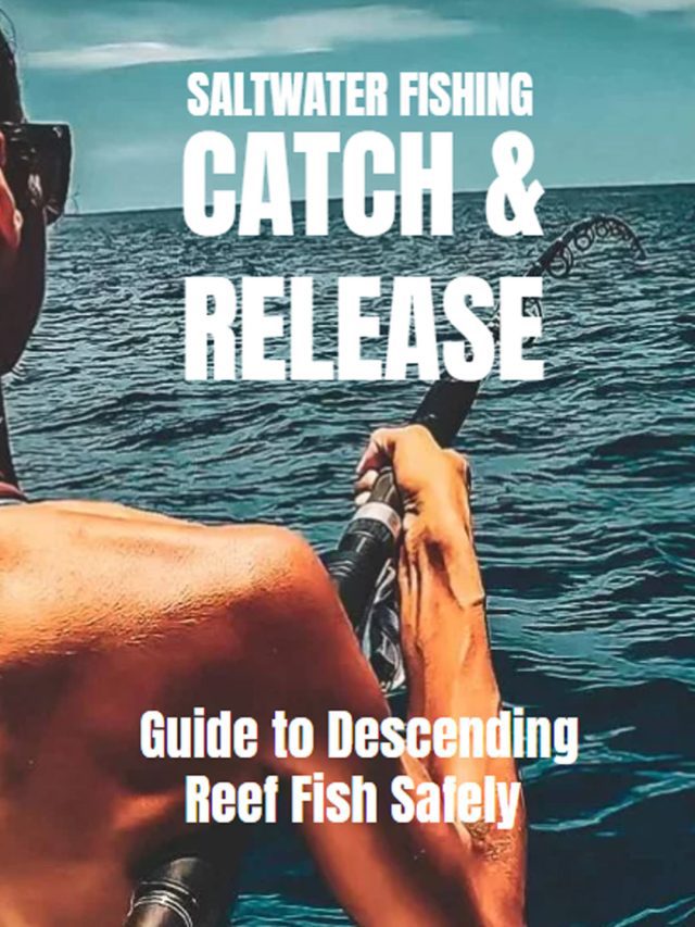 Guide to Descending Reef Fish Safely
