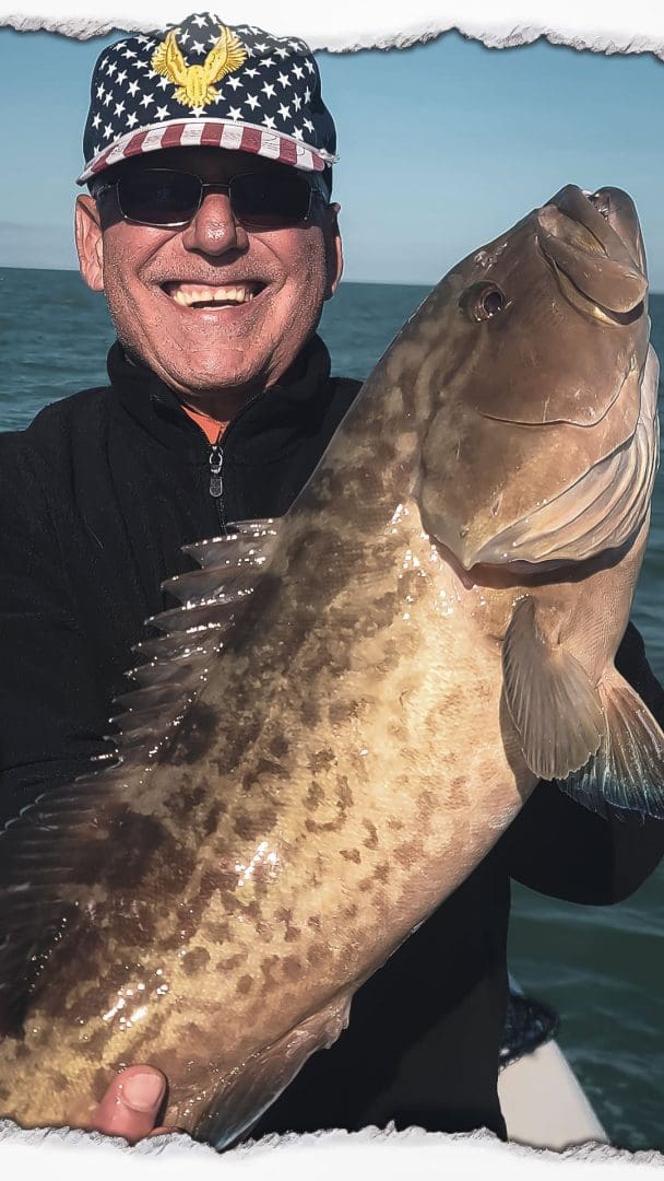 Gag Grouper Saltwater Fish Gulf of Mexico