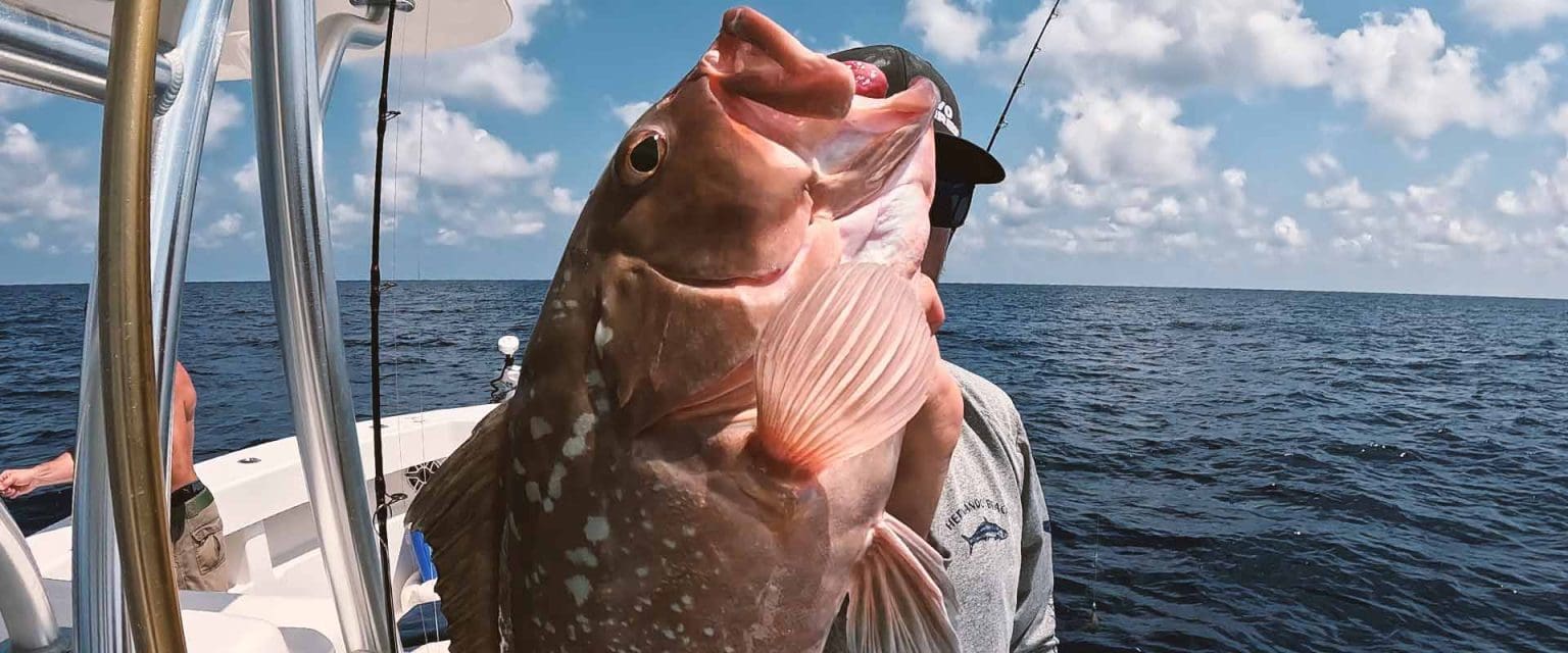 Red Snapper Gulfstream Pipeline Landed Fishing