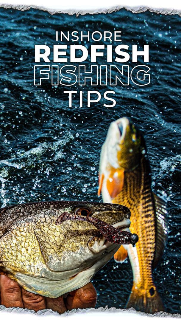 Inshore Redfish Fishing Tips in Coastal Areas