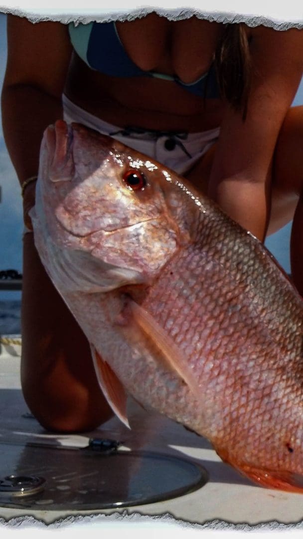 Saltwater Fishing Tips: Catching Red Snapper