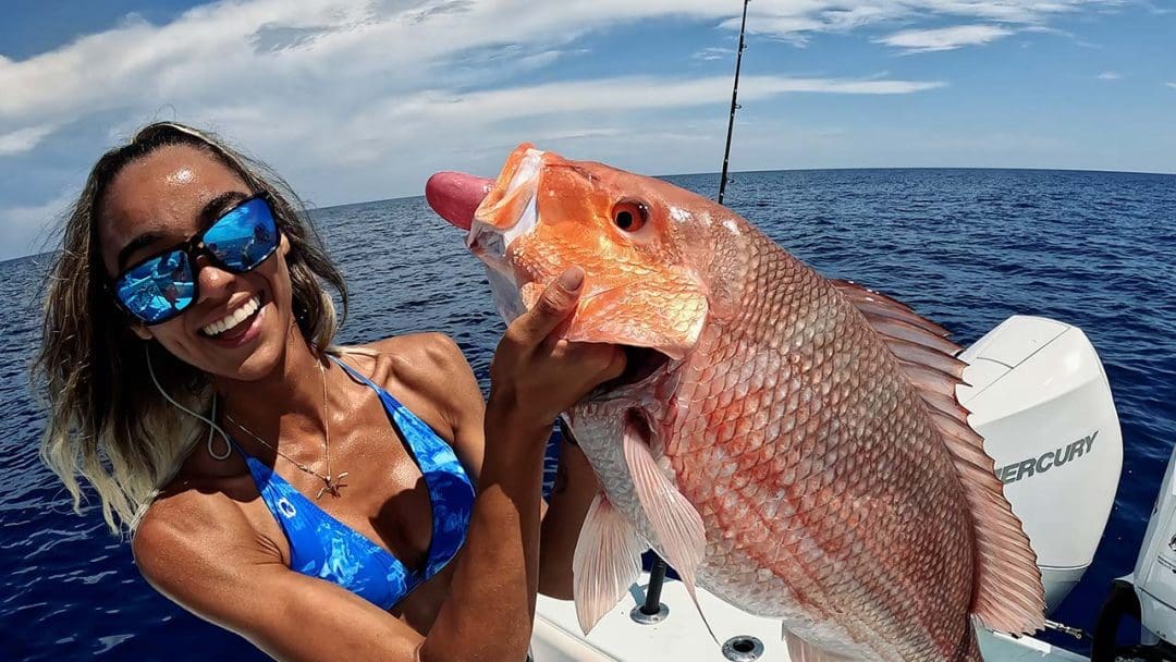 Catching Red Snapper Bottom Fishing Gulf of Mexico