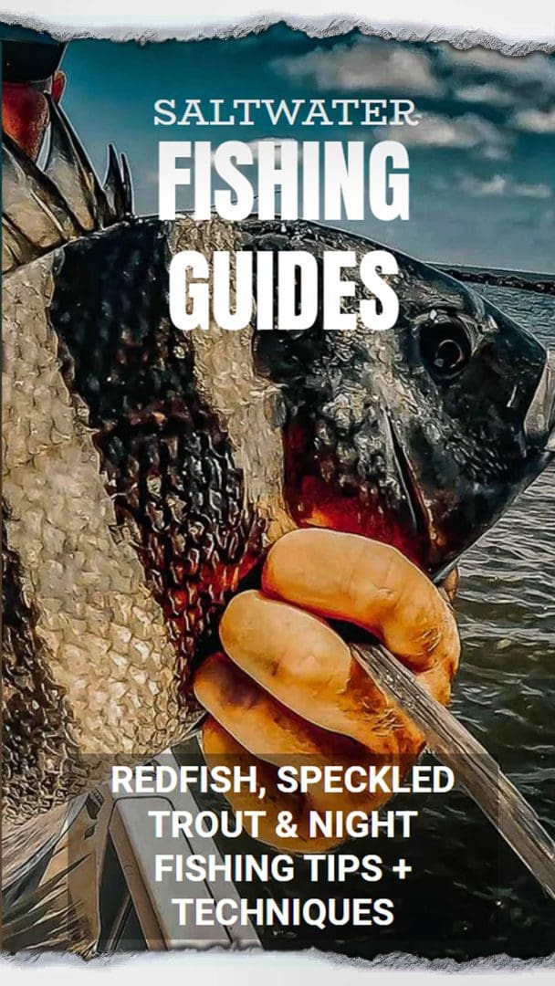 Saltwater Fishing Guides for the Gulf of Mexico