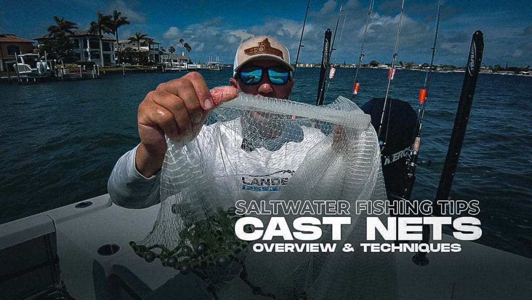 Cast Net Overview: Saltwater Fishing Tips