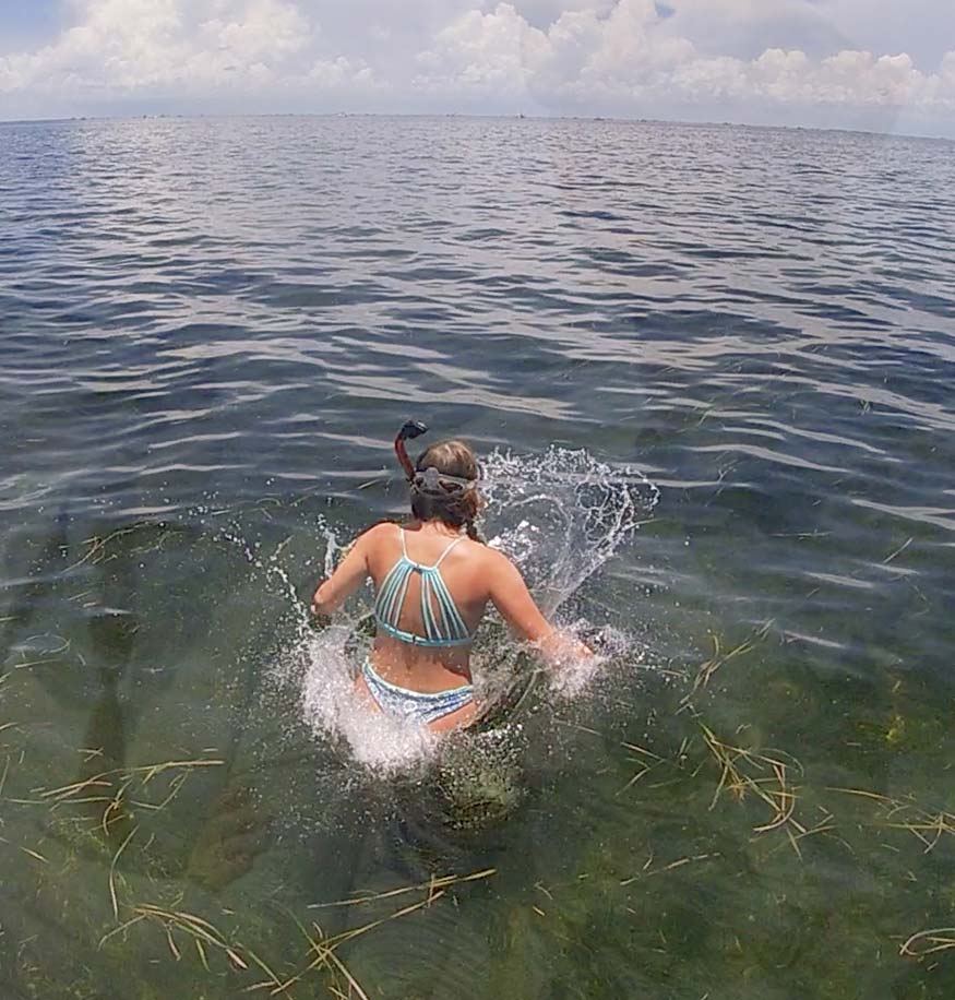 Schwimmen für Jakobsmuscheln an der Golfküste Floridas