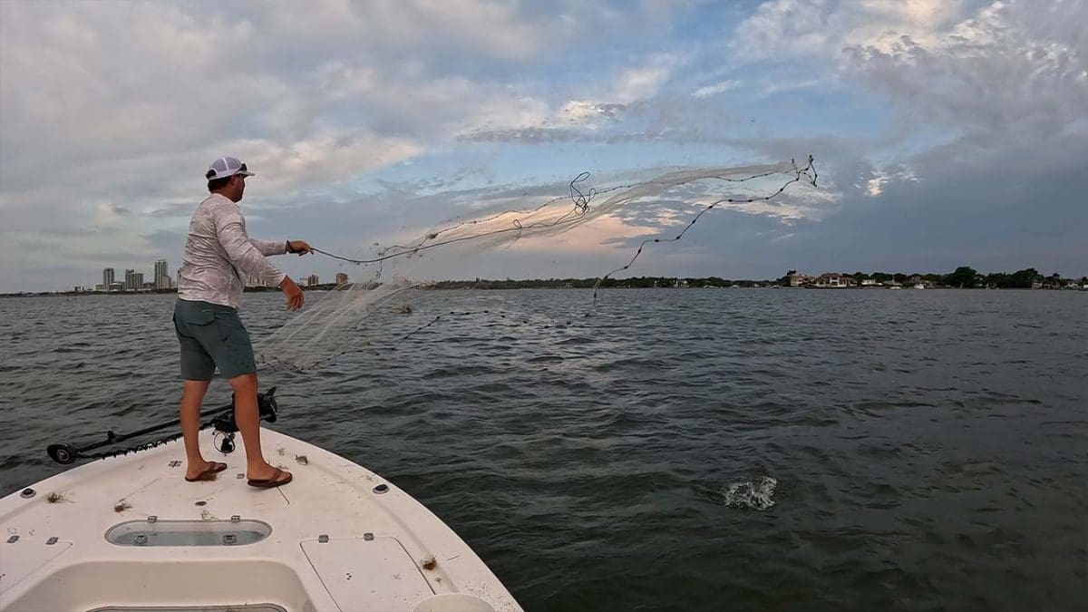 How To Catch Bait With A Cast Net Landed Fishing