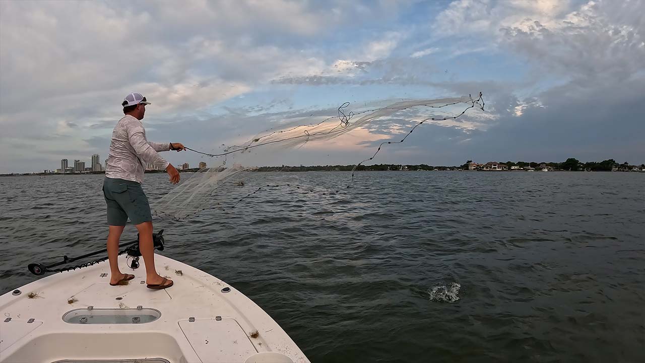 How to catch bait with a cast net landed fishing