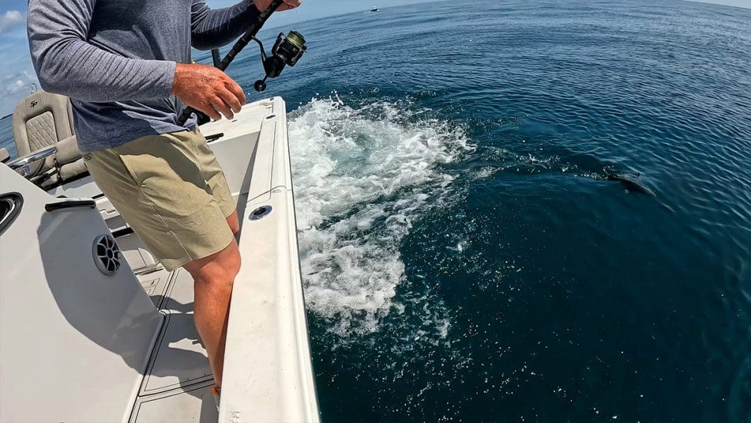 Melhores pontos de pesca na Flórida para Goliath Grouper