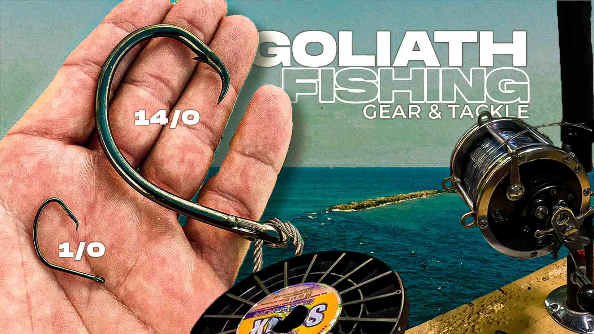 Dụng cụ câu cá và thiết bị đầu cuối của cá mú Goliath