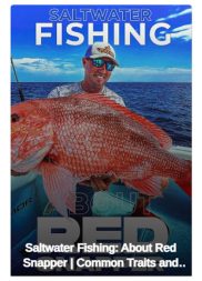 Contact 6 saltwater fishing red snapper gulf of mexico