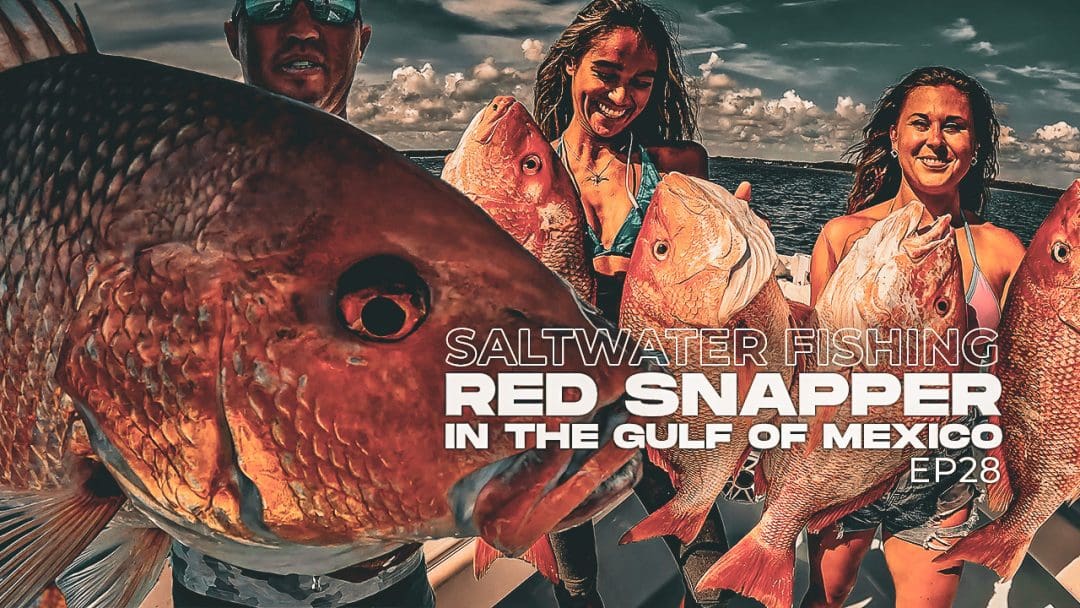 Red Snapper pescando em Clearwater, Flórida