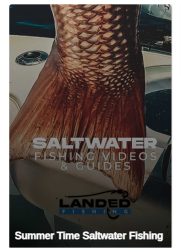 Contact 5 summer time saltwater fishing videos guides pro tips