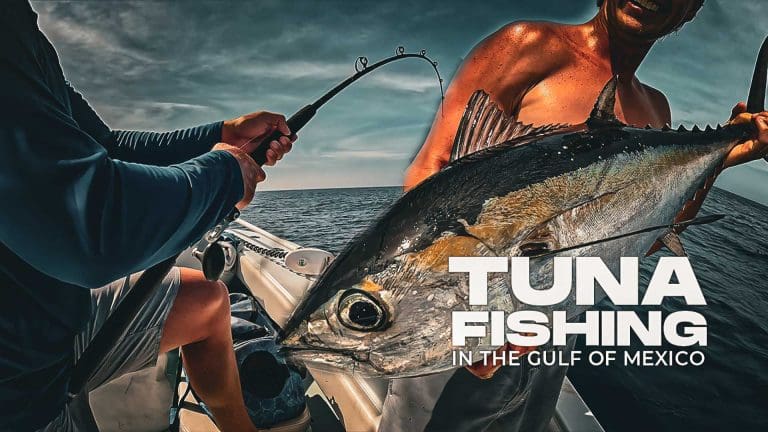 Tuna Fishing in the Gulf of Mexico