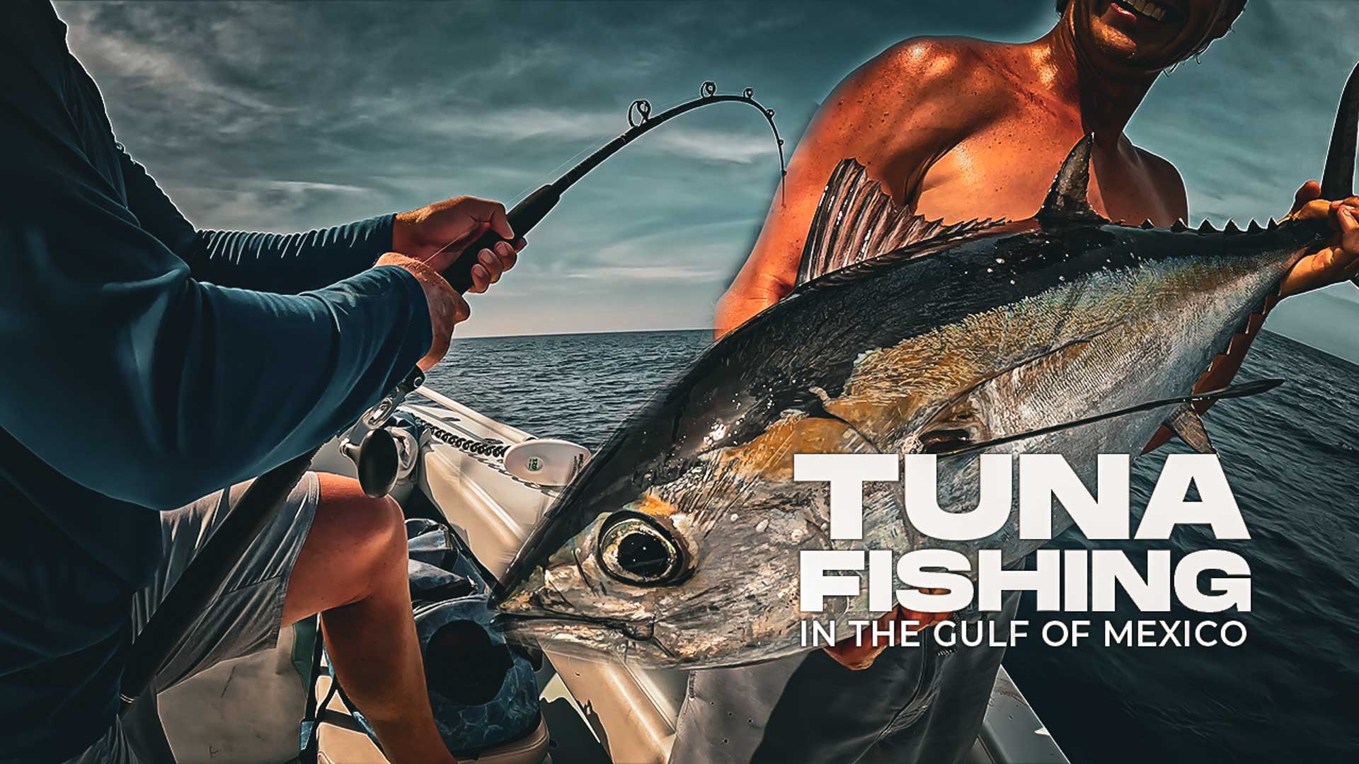 Catching Tuna In The Gulf Of Mexico