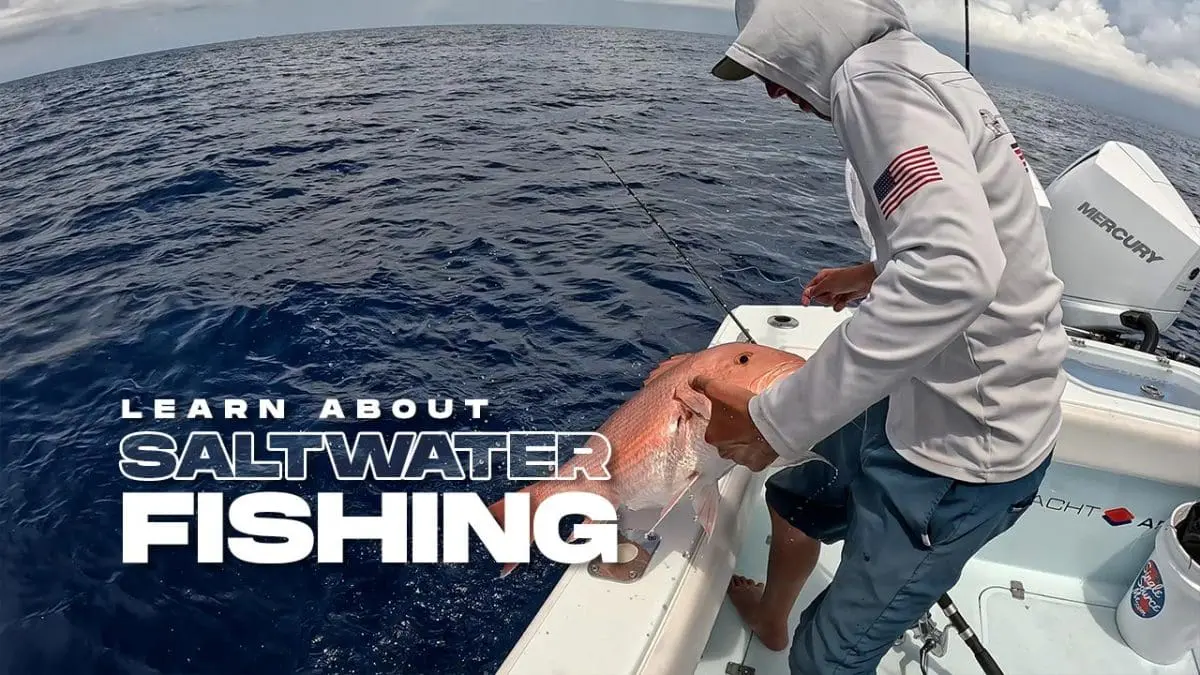 Learn About Saltwater Fishing, Videos And Tips