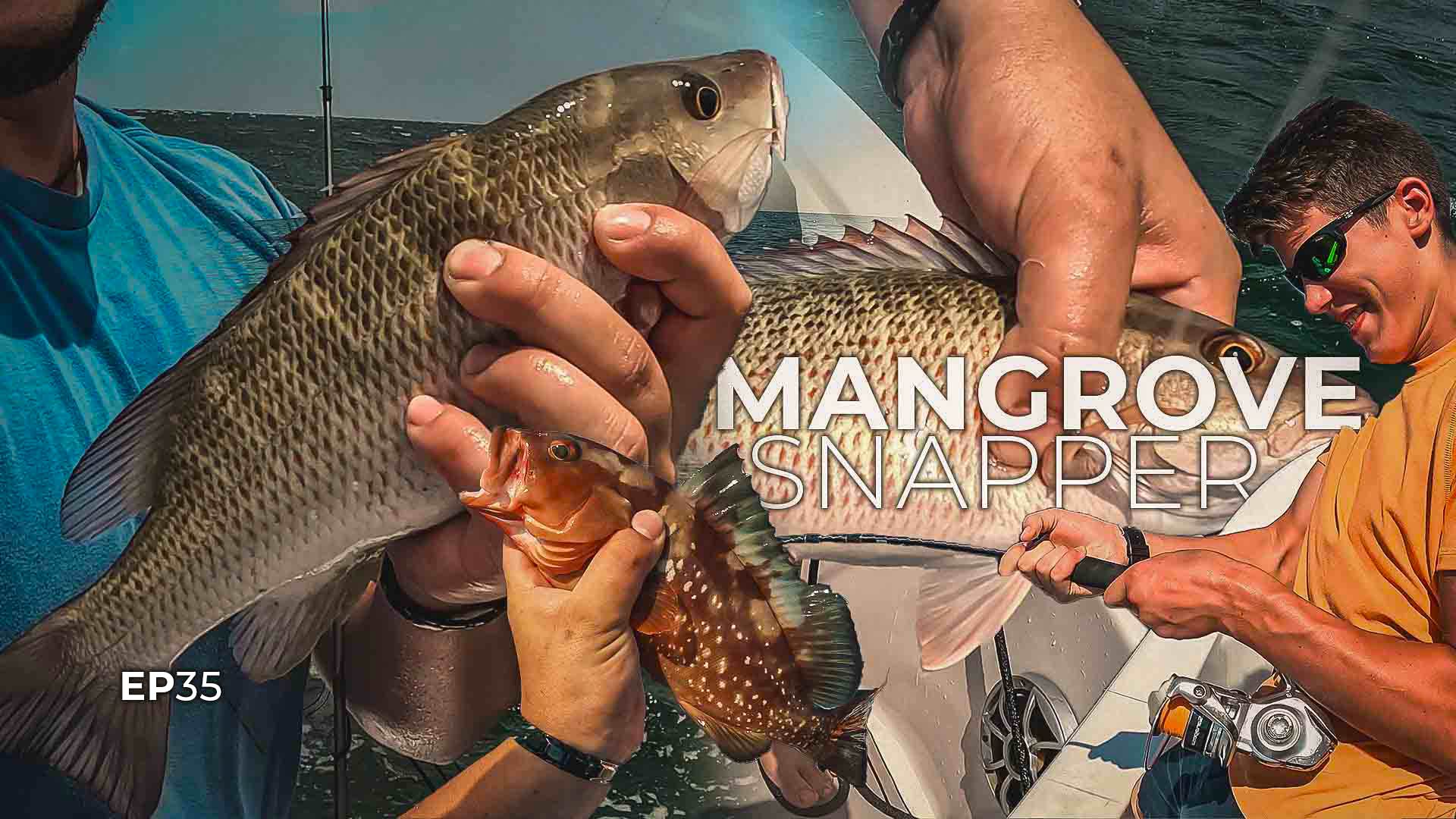 How To Rig Shrimp For Inshore Mangrove Snapper