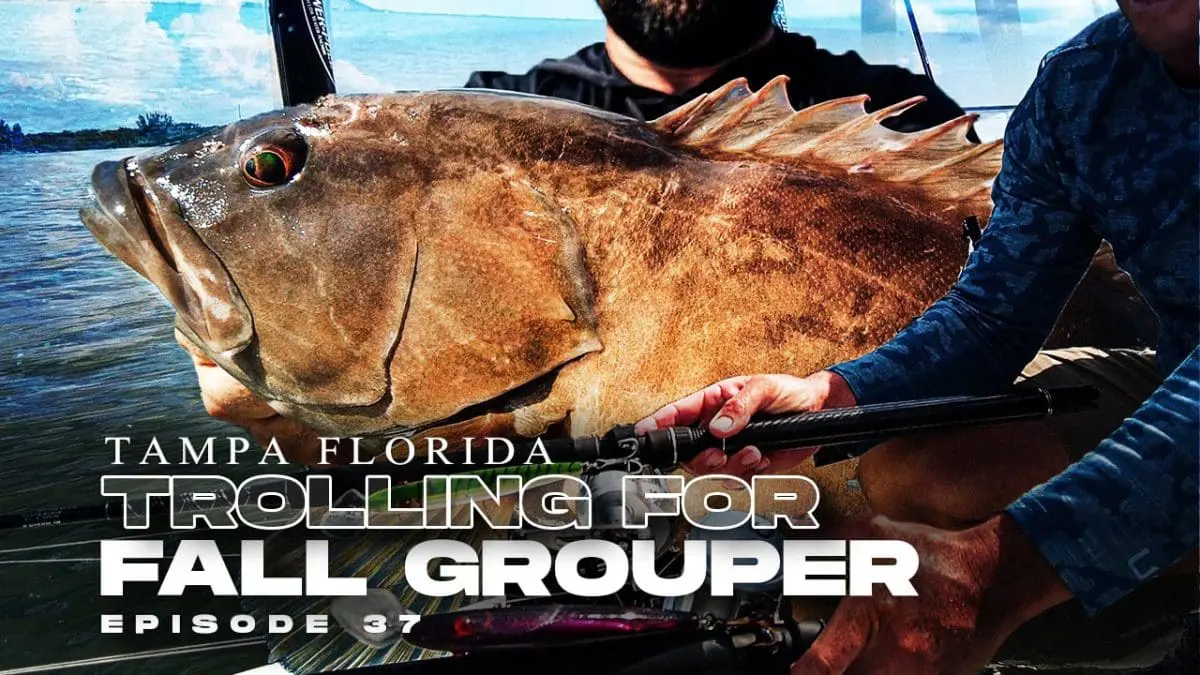 Florida Grouper Fishing | Catching Grouper in the Gulf