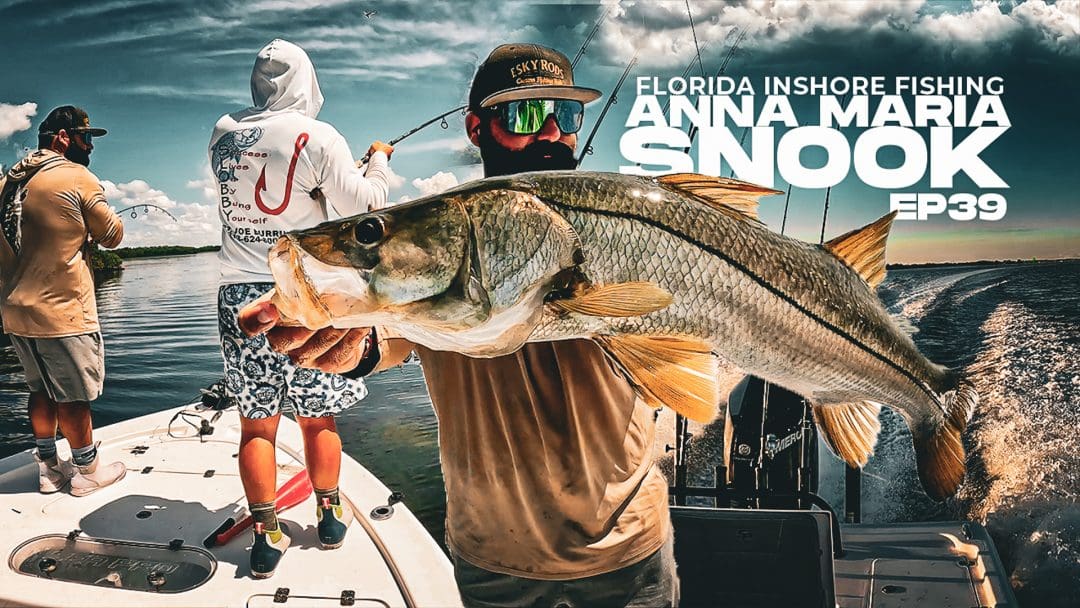 Anna Maria Inshore Snook Fishing Florida