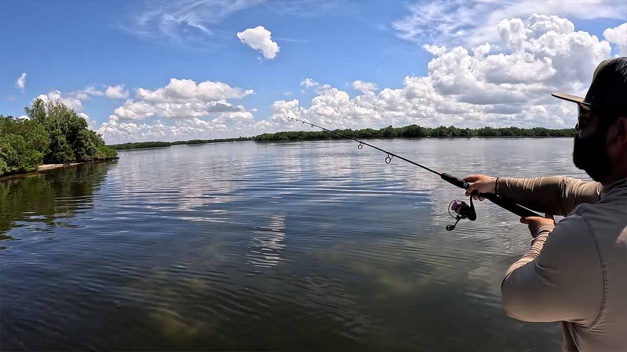 Pêche au snook sur l'île Anna Maria en Floride