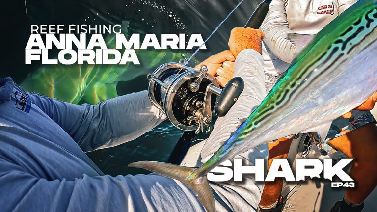 Fishing Anna Maria Island Slack Tide Shark Thumbnail