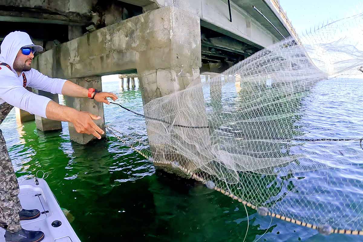 Köderfischfang unterhalb der Skyway Bridge Anna Maria Florida
