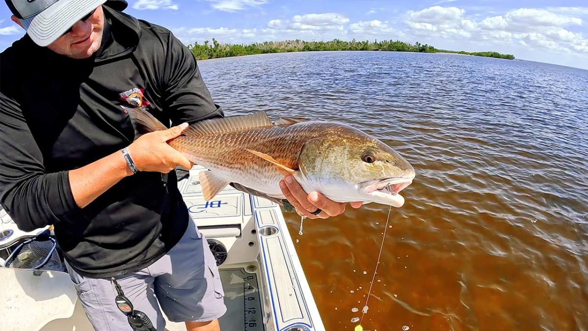 Catching Inshore Redfish with Live Bait