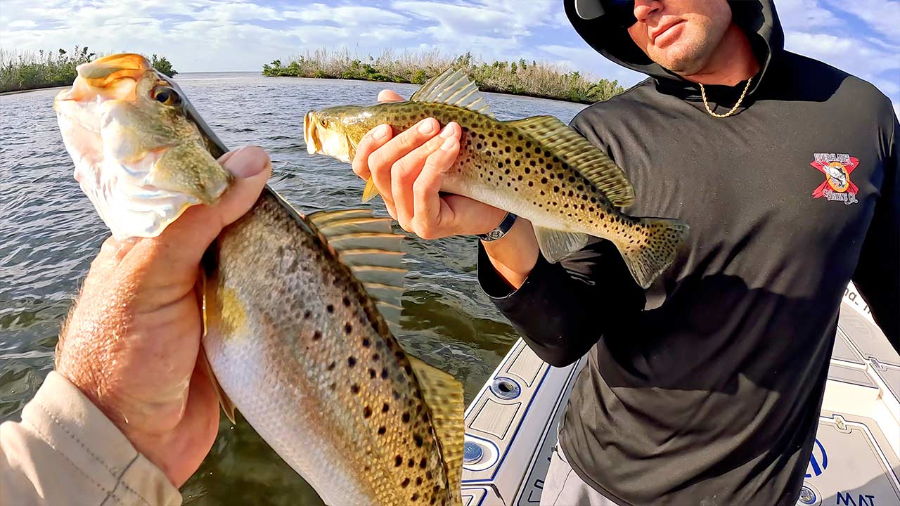 Gasparilla Florida Fishing Grand Slam Snook Redfish Trout | Landed Fishing