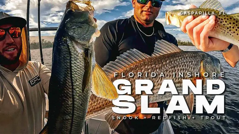 Gasparilla Florida Grand Slam de pesca costeira, robalo, cantarilho e truta salpicada
