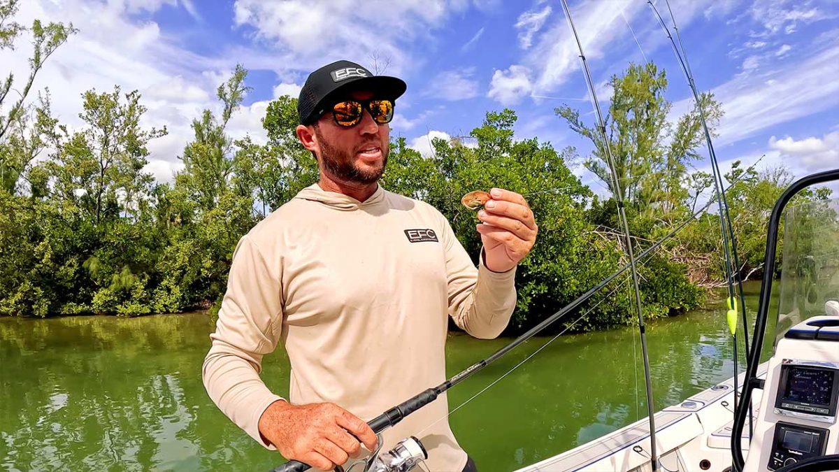 Best Artificial Baits for Inshore Fish: Gold Spoons 