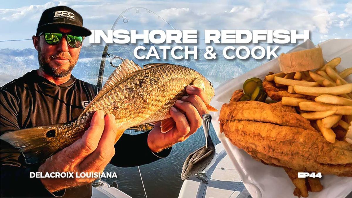 Louisiana Bắt và Nấu Cá Đỏ Bờ Vịnh