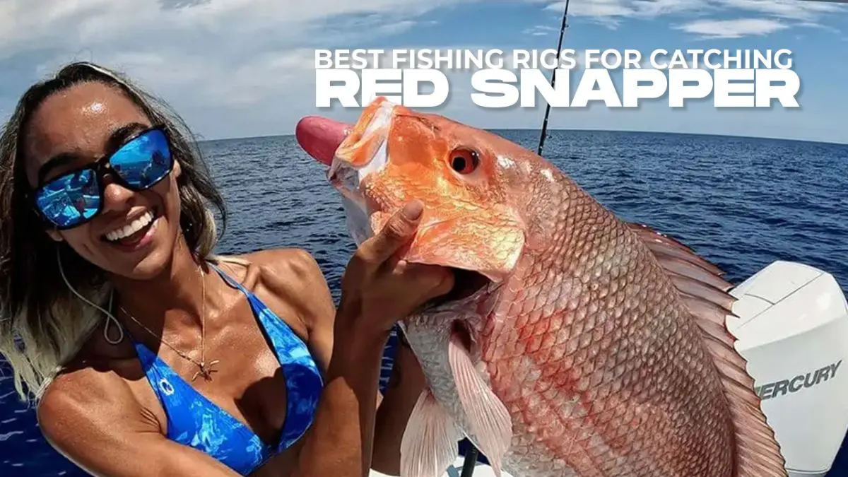https://landedfishing.com/wp-content/uploads/2023/12/best_fishing_rigs_for_catching_red_snapper-1200x675.jpg